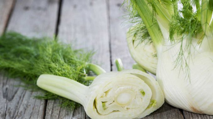 Fenchel in der Schwangerschaft