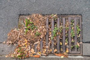 Verstopfung in der schwangerschaft