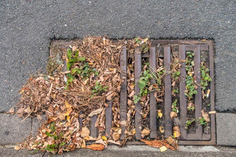 Verstopfung in der schwangerschaft